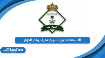 تعرف على خطوات الاستعلام عن تأشيرة عمرة برقم الجواز في السعودية 1445