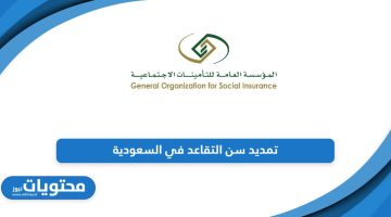 عاجل؛ تفاصيل تمديد سن التقاعد في السعودية القرار الجديد 2024