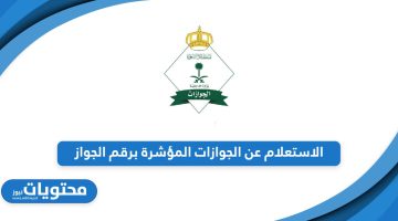 خطوات الاستعلام عن الجوازات المؤشرة برقم الجواز في السعودية