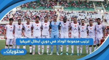 تعرف على ترتيب مجموعة الوداد في دوري ابطال افريقيا 2024