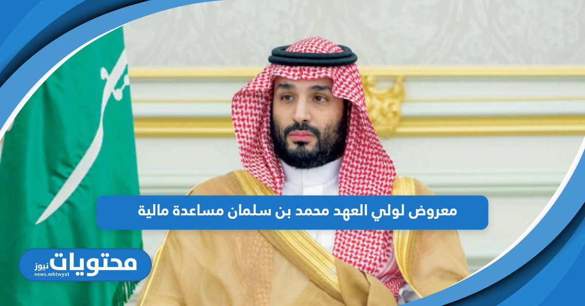 احصل على صيغة معروض لولي العهد محمد بن سلمان مساعدة مالية جاهز